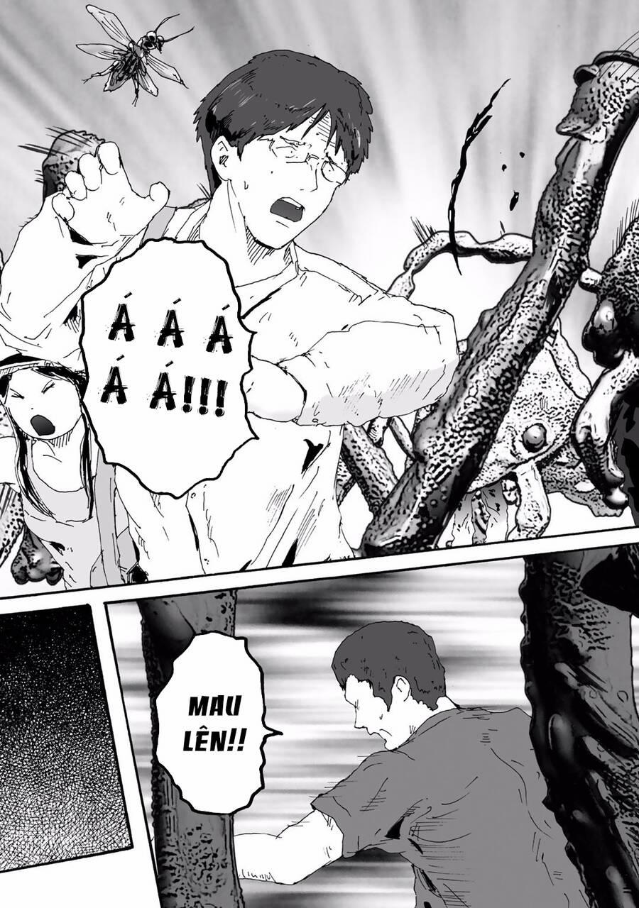 Insects R 6 trang 22