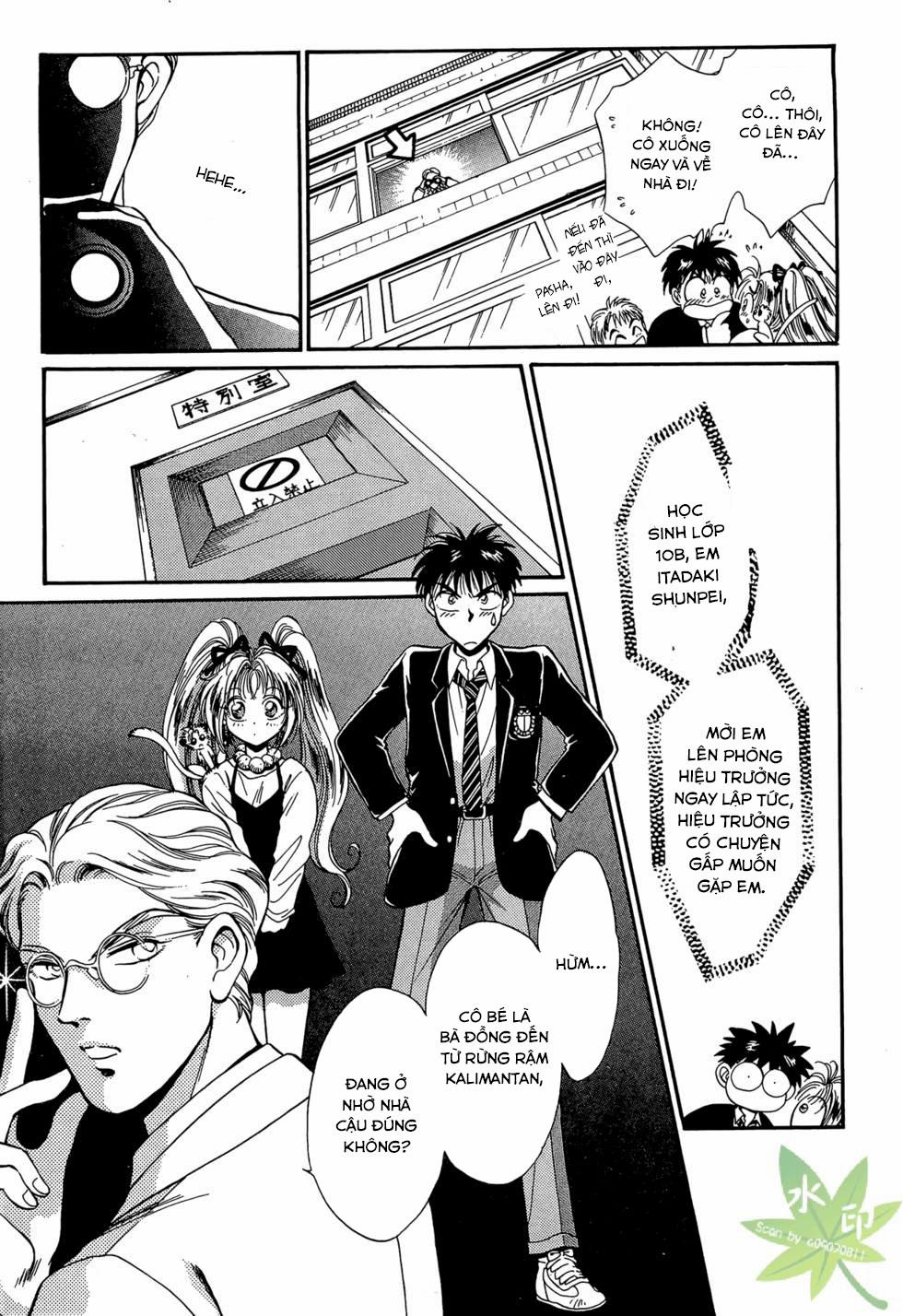 Itadaki Shunpei!! 12 trang 5