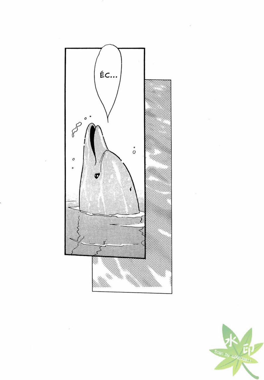 Itadaki Shunpei!! 26 trang 0