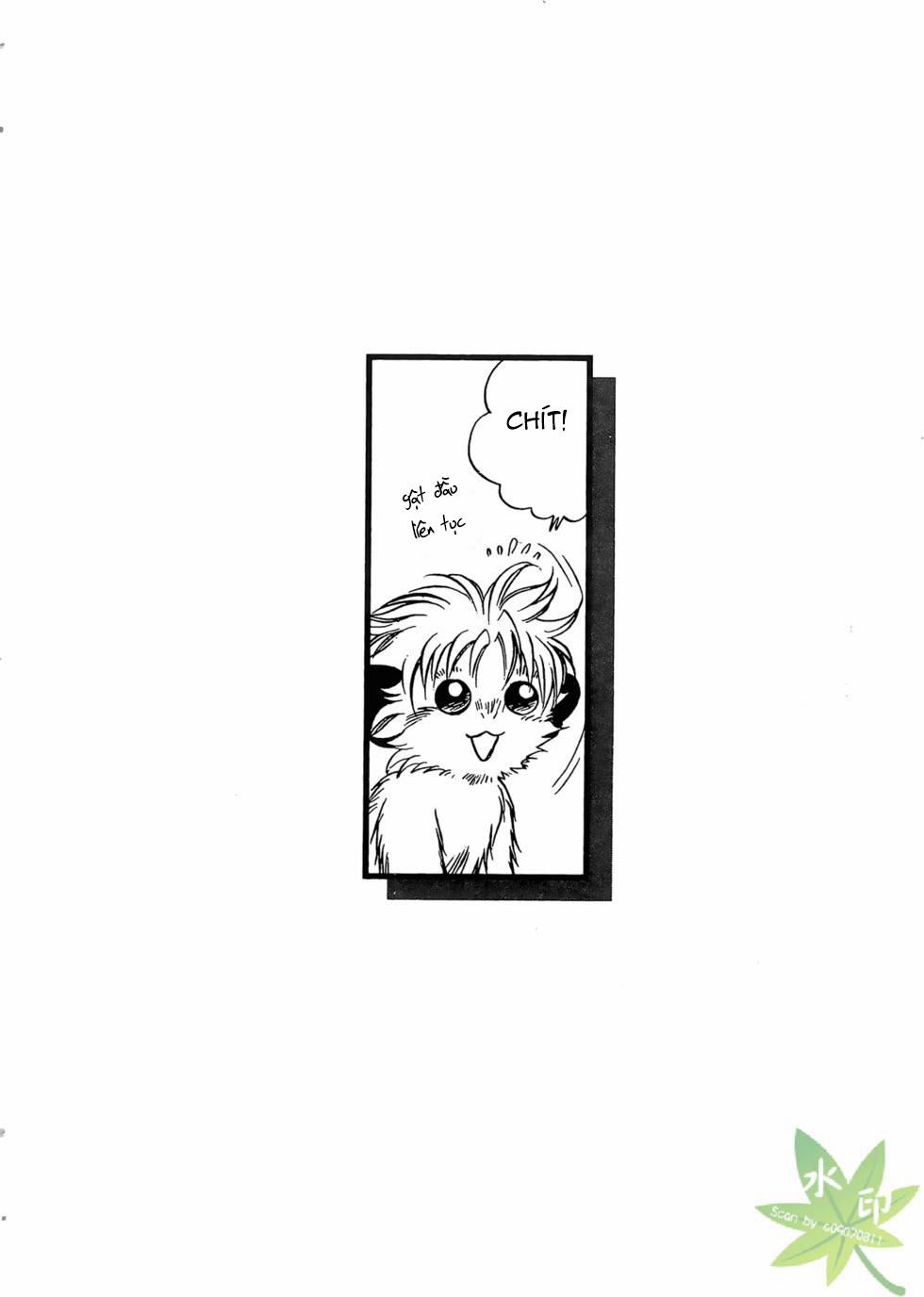 Itadaki Shunpei!! 42 trang 0