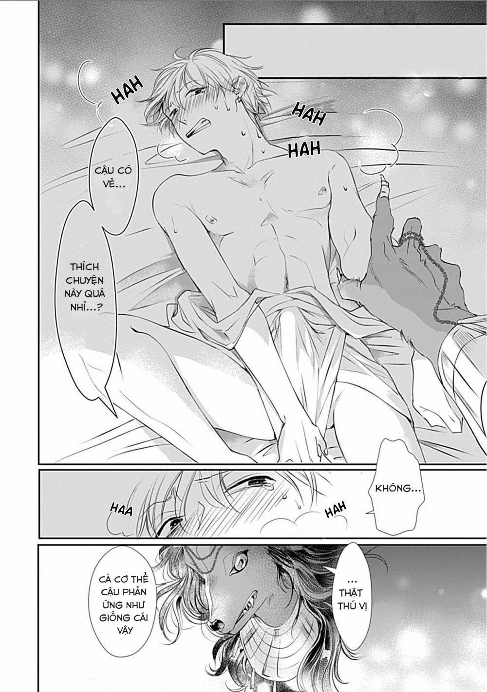 Itoshi no Kemukujaraa 1 trang 31