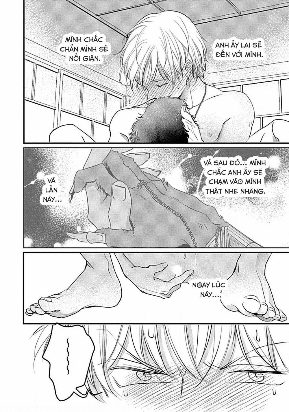 Itoshi no Kemukujaraa 4 trang 29