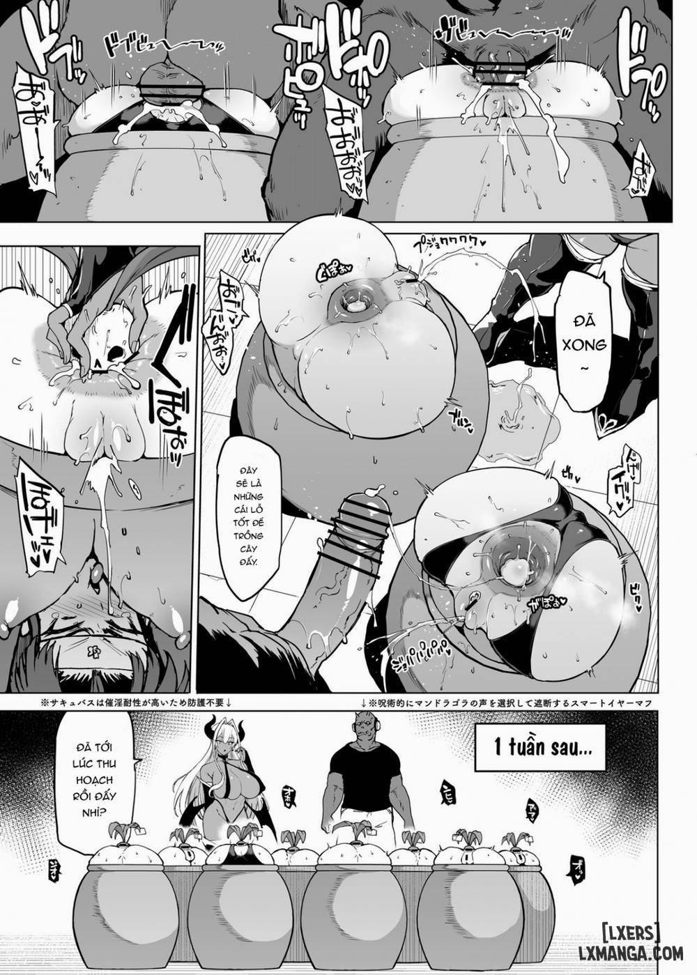 JK Taimabu Season 3 7 trang 6