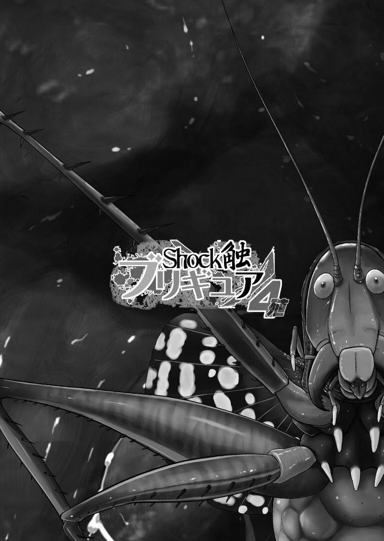 Juuryoku Shiki Youheki (Happyness Charge Precure) 3 [END] trang 17