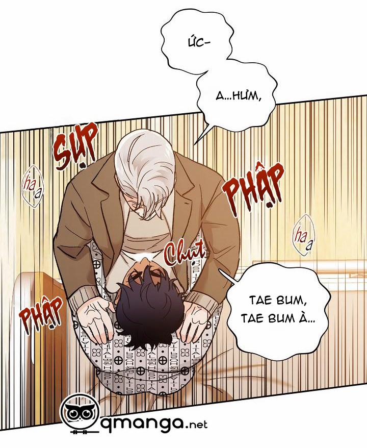 Kẻ cắp Mặt Trăng 45 trang 44