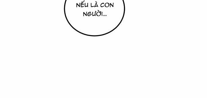 Kẻ cắp Mặt Trăng 48 trang 25