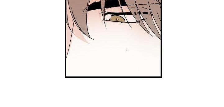 Kẻ cắp Mặt Trăng 48 trang 52