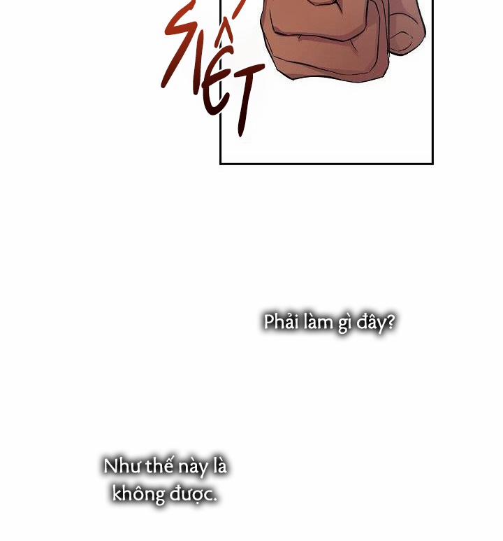 Kẻ cắp Mặt Trăng 59 trang 19