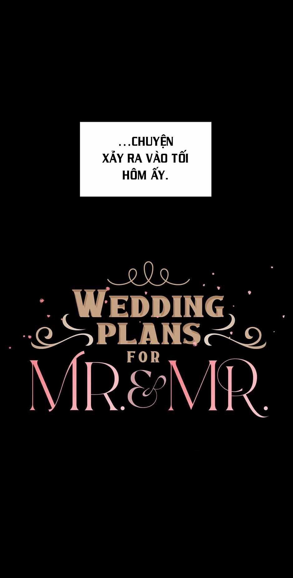 Kế hoạch đám cưới của Mr và Mr 6 trang 6