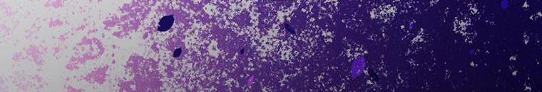 Kế Hoạch Kết Thúc Hoàn Hảo Của Ác Nữ Trong Truyện Cổ Tích 30.5 trang 193