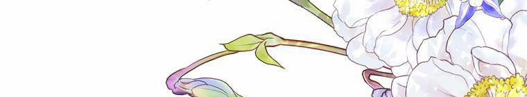 Kế Hoạch Kết Thúc Hoàn Hảo Của Ác Nữ Trong Truyện Cổ Tích 30 trang 311