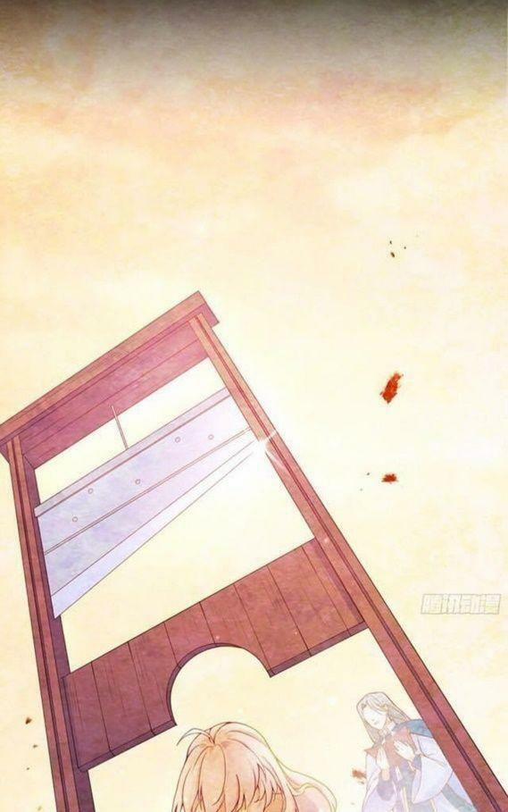 Kế Hoạch Sống Còn Của Công Chúa Phản Diện 1 trang 23