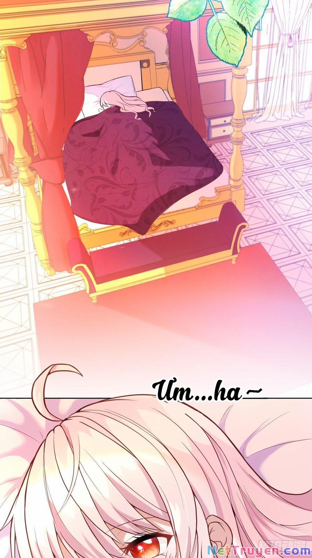 Kế Hoạch Sống Còn Của Công Chúa Phản Diện 16 trang 14