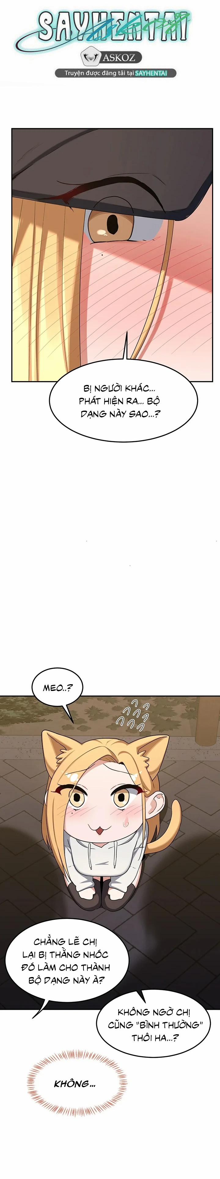 Kế hoạch trao đổi mẹ 24 trang 13