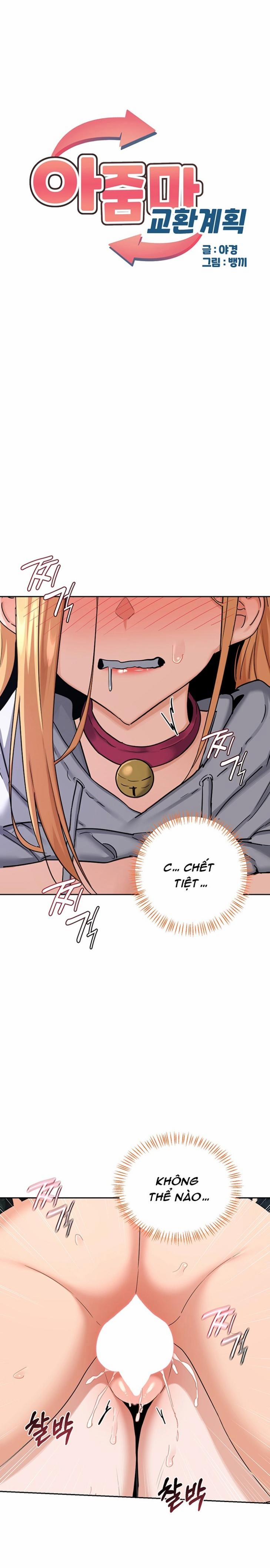 Kế hoạch trao đổi mẹ 27 trang 0