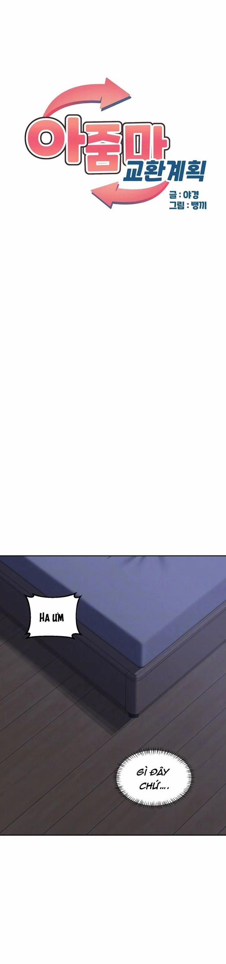 Kế hoạch trao đổi mẹ 40 trang 0