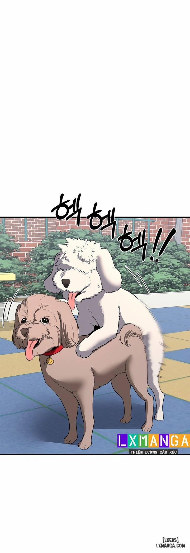 Kế hoạch trao đổi mẹ 5.0 trang 25