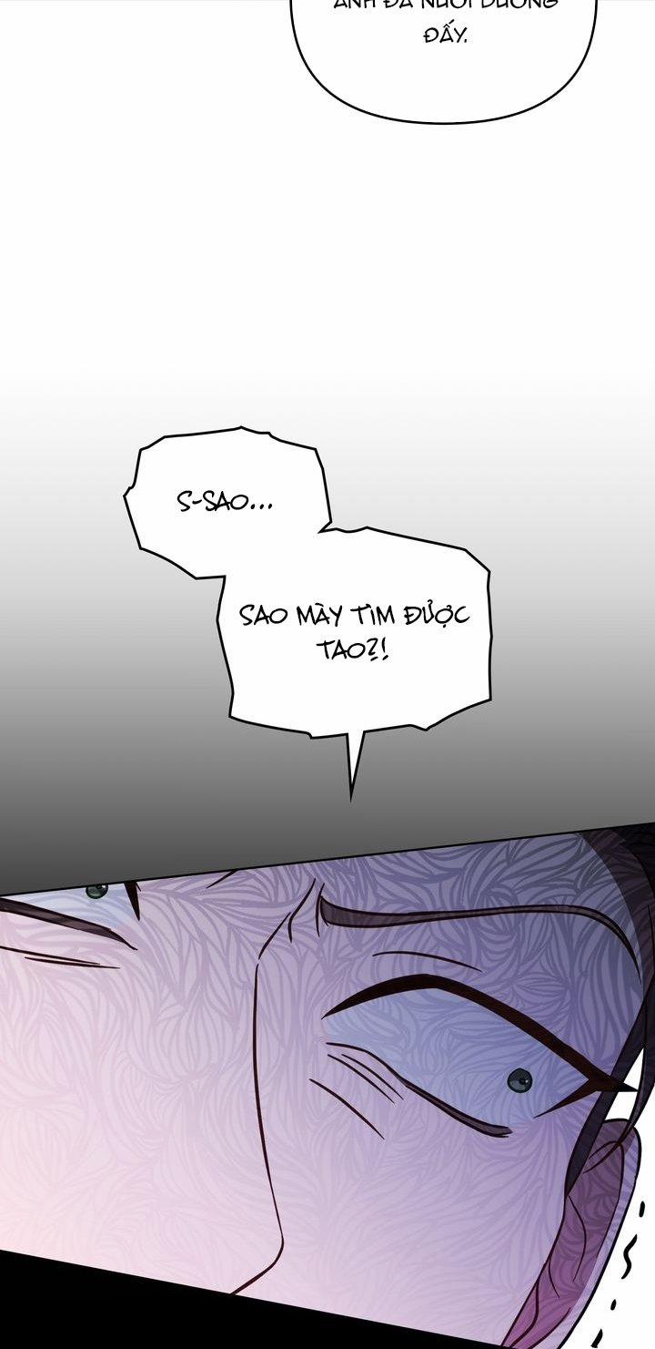 Kẻ Nghiệp Dư 54.1 trang 2