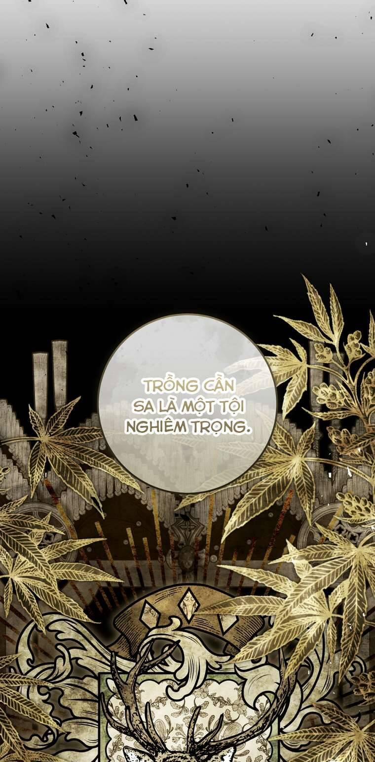 Kẻ Phản Diện Là Một Con Rối 91 trang 7