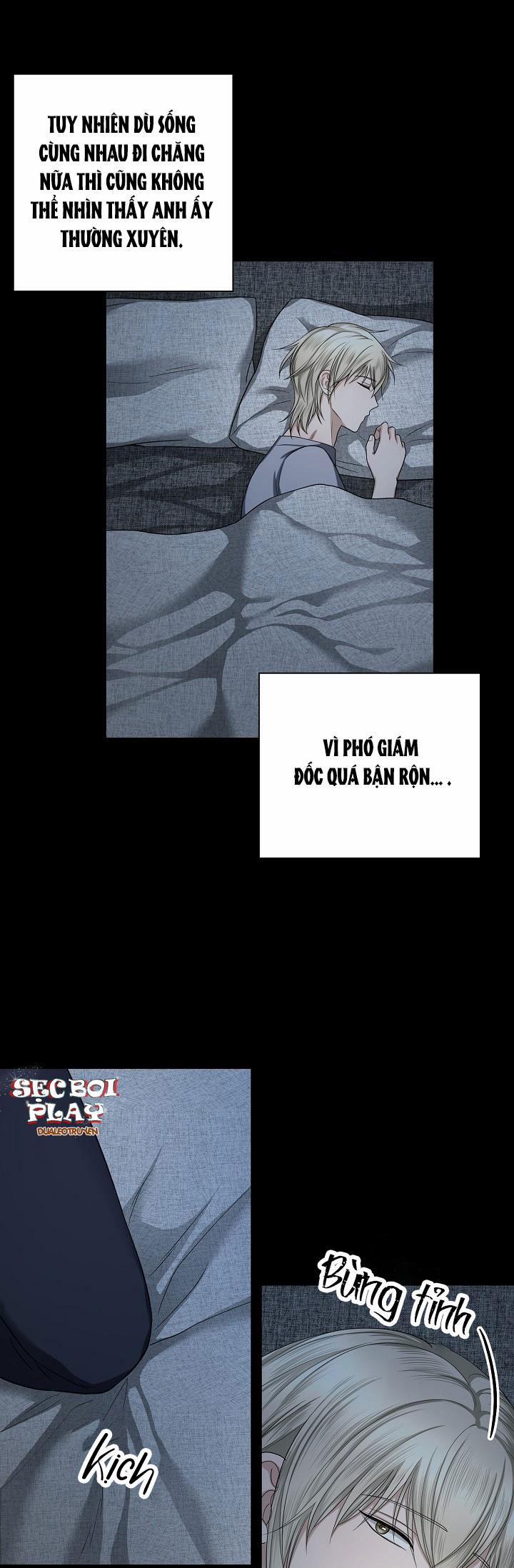 KẺ SƯU TẬP 11 ngoại truyện 1 trang 10