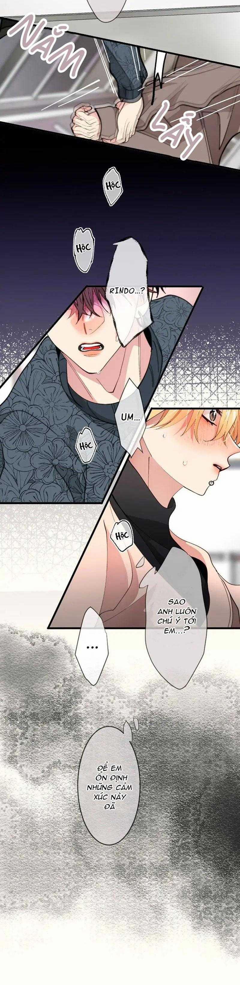 Kẻ Theo Dõi Biến Thái Của Tôi 124 trang 5