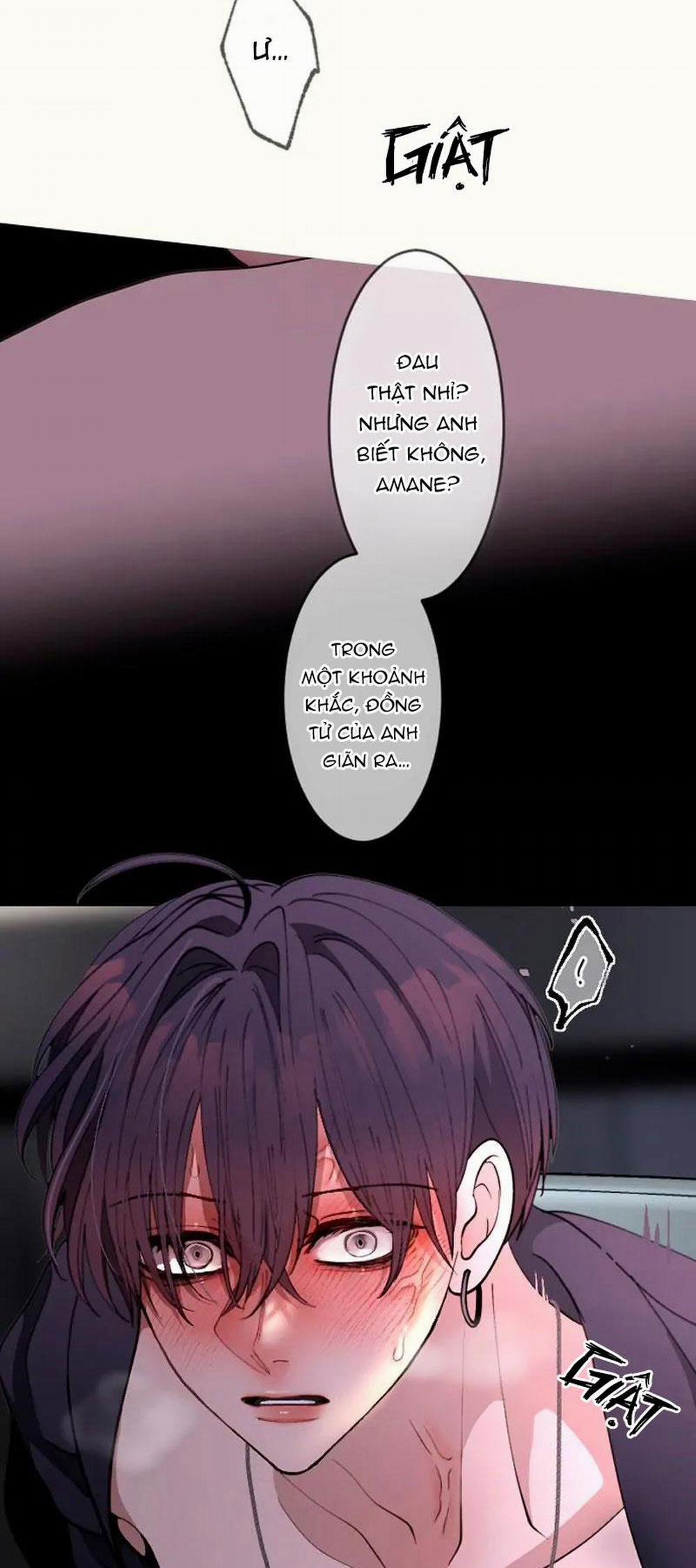 Kẻ Theo Dõi Biến Thái Của Tôi 126 trang 12