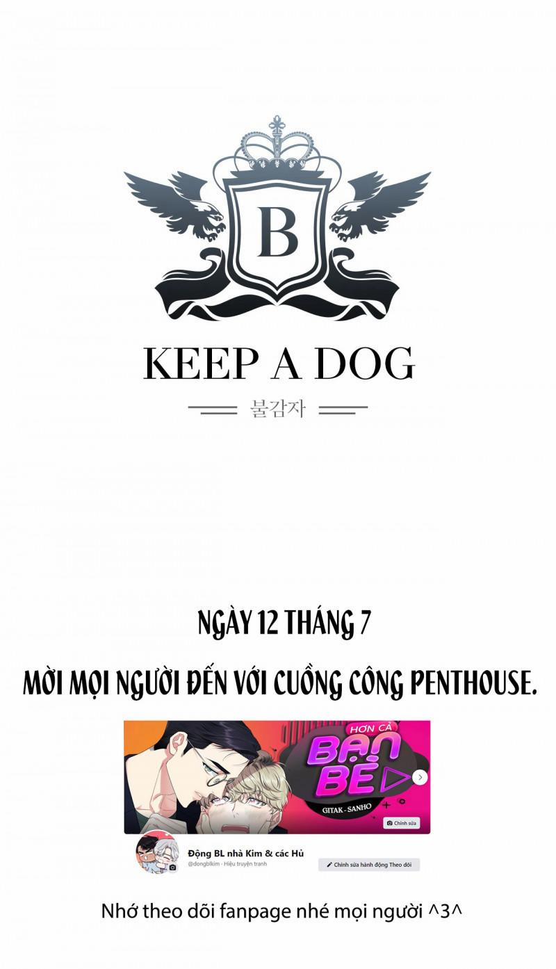 Keep A Dog 0 Giới thiệu trang 10