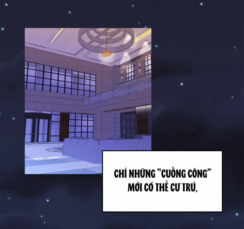 Keep A Dog 0 Giới thiệu trang 2