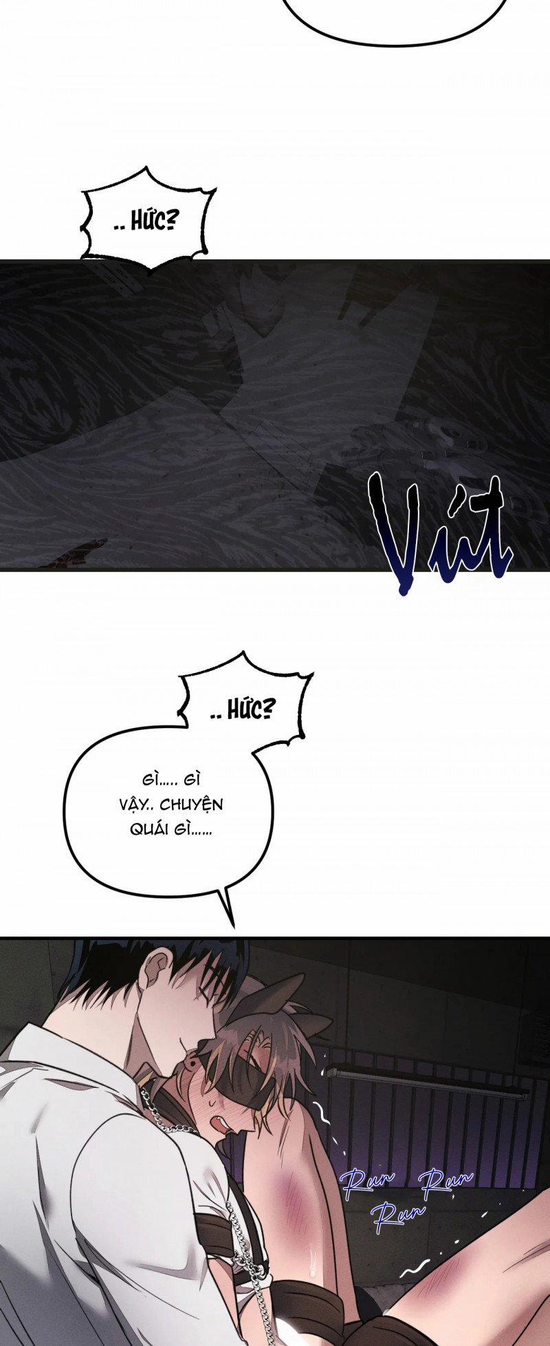 Keep A Dog 2.5 trang 5