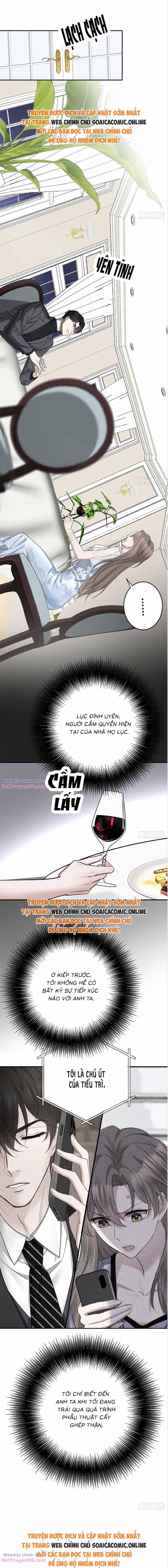 Kết Đẹp Với Chú Út Kiếp Trước Sau Chia Tay 15 trang 3