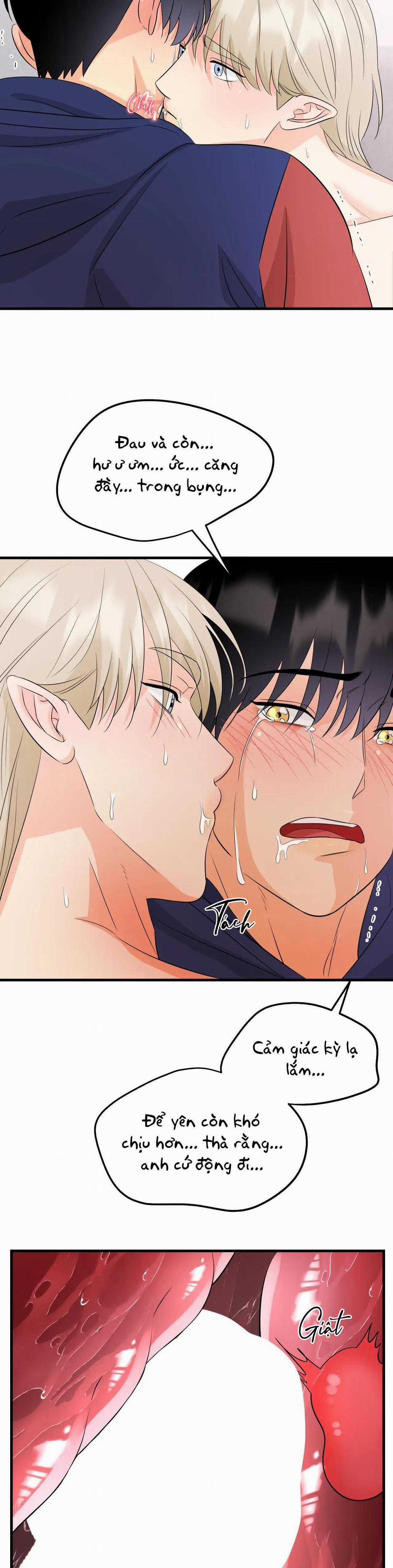 Kết Đôi Với Chàng Tiên 17 trang 11