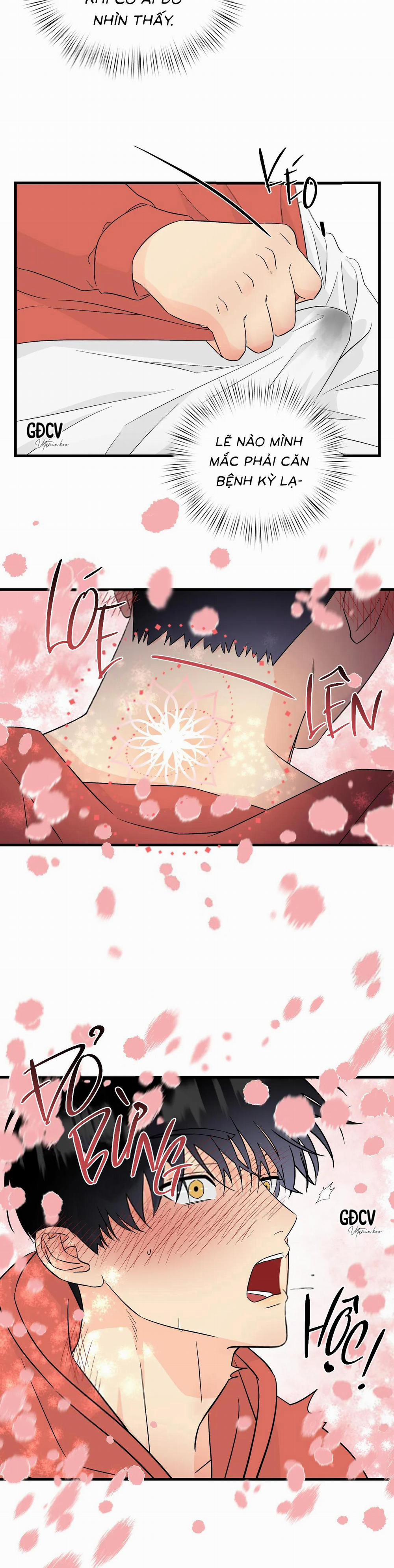 Kết Đôi Với Chàng Tiên 4 trang 3