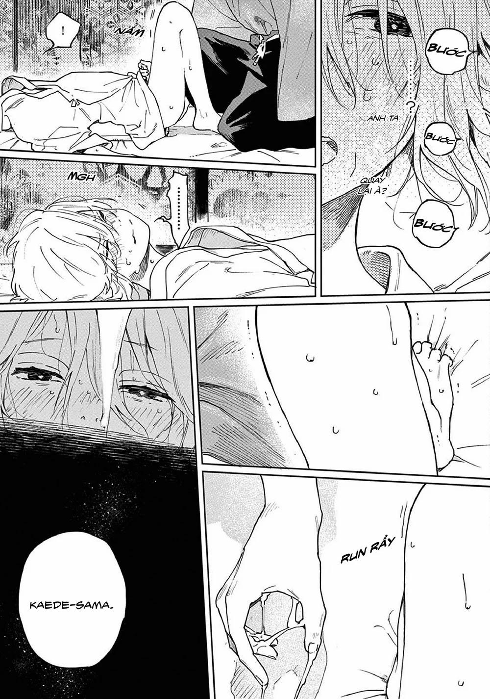 Kết Hôn Với Chàng Sói 5 trang 30