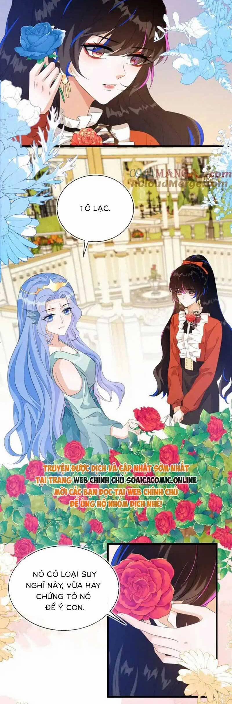 Kết Hôn Với Người Quyền Lực Nhất Hành Tinh 34 trang 11