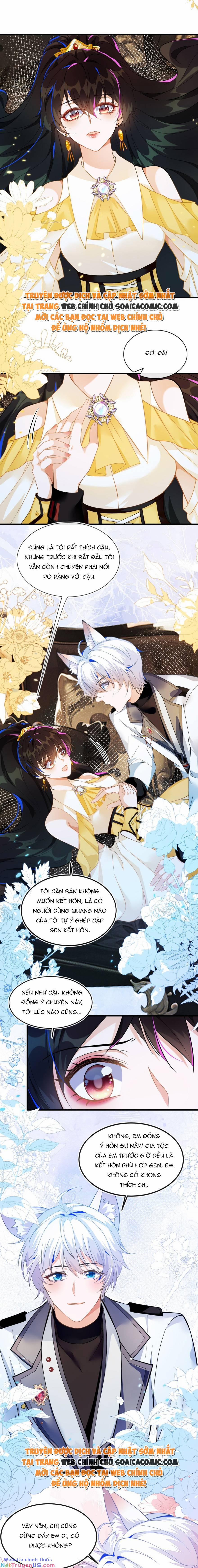 Kết Hôn Với Người Quyền Lực Nhất Hành Tinh 5.1 trang 8
