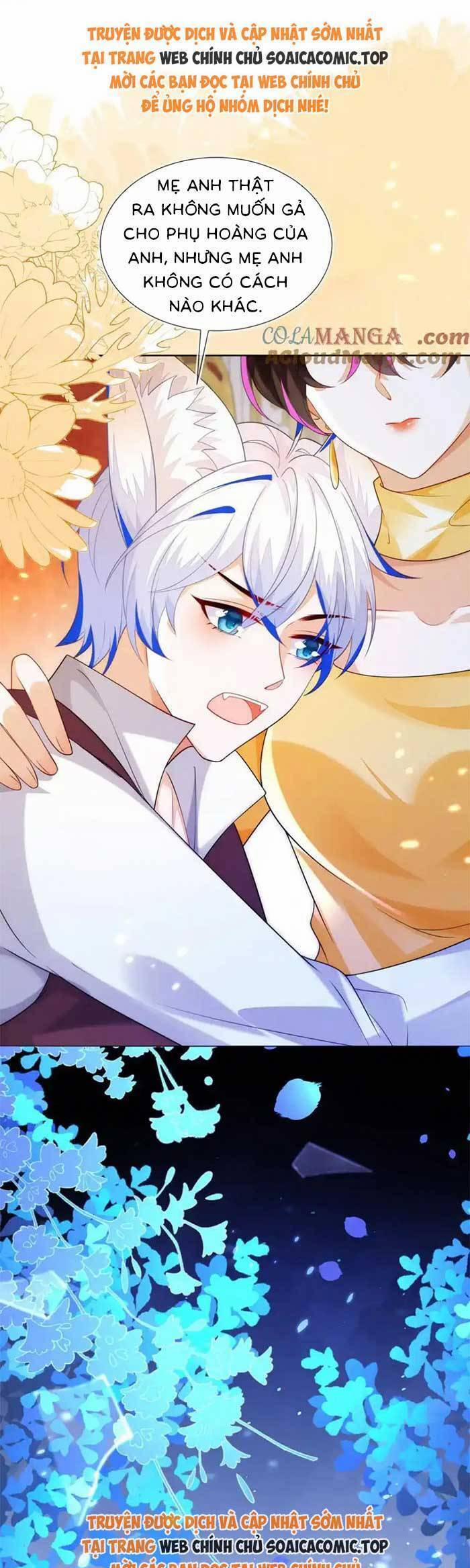 Kết Hôn Với Người Quyền Lực Nhất Hành Tinh 52 trang 15