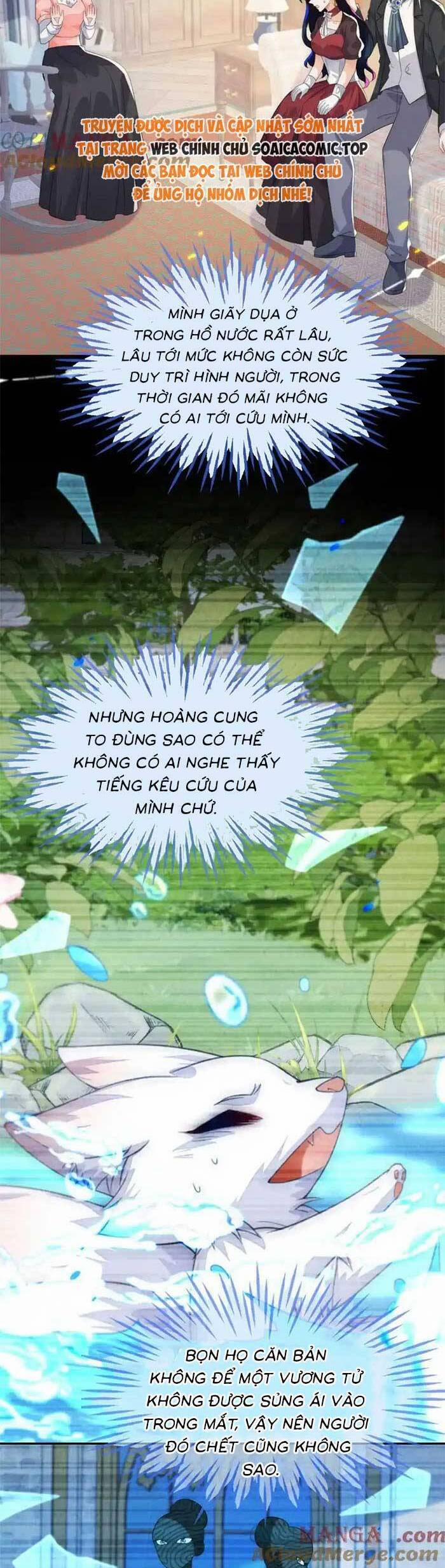 Kết Hôn Với Người Quyền Lực Nhất Hành Tinh 56 trang 19