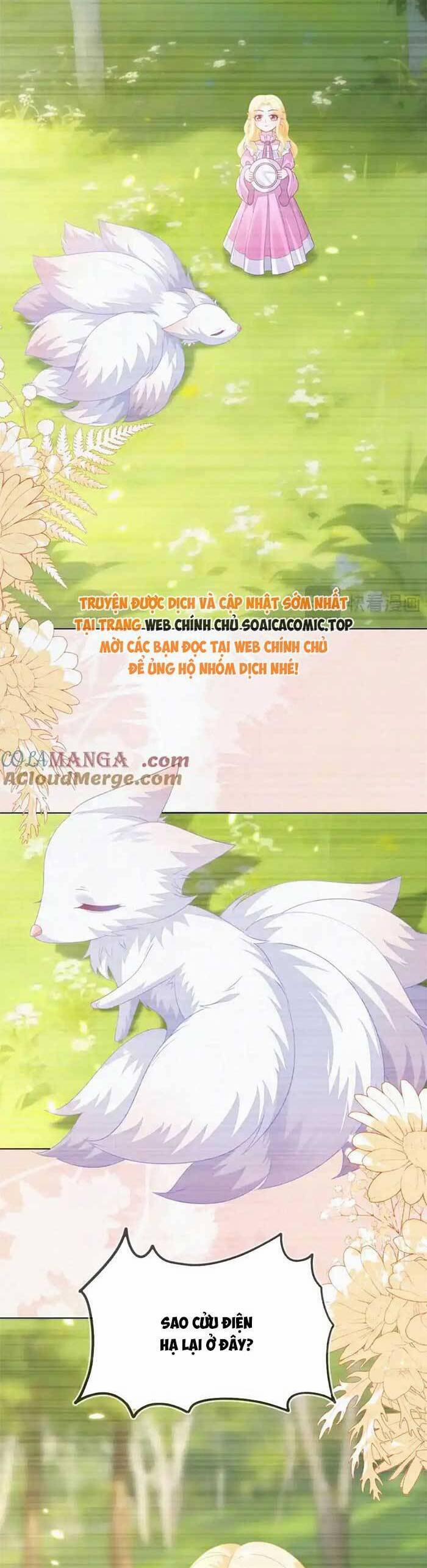 Kết Hôn Với Người Quyền Lực Nhất Hành Tinh 56 trang 7