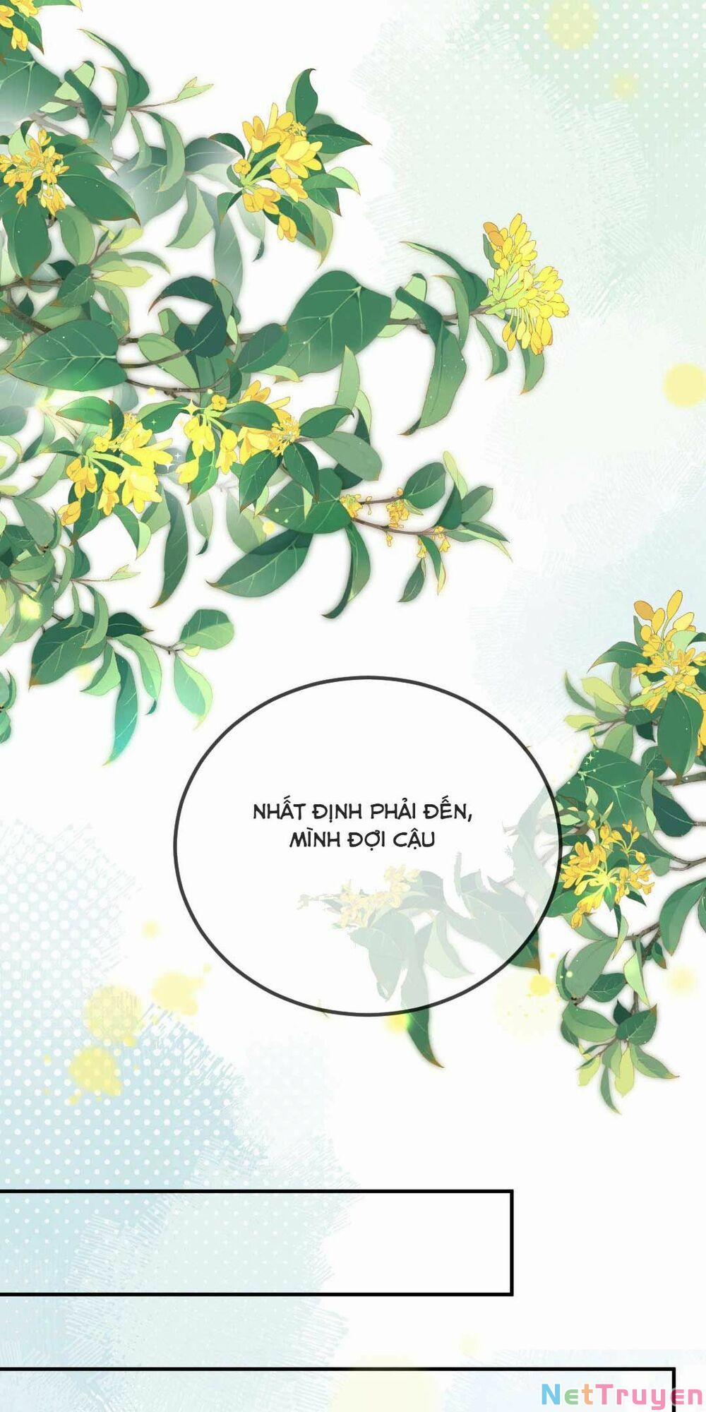 Khảo Nghiệm Cuối Cùng Của Tra Nữ 11 trang 28