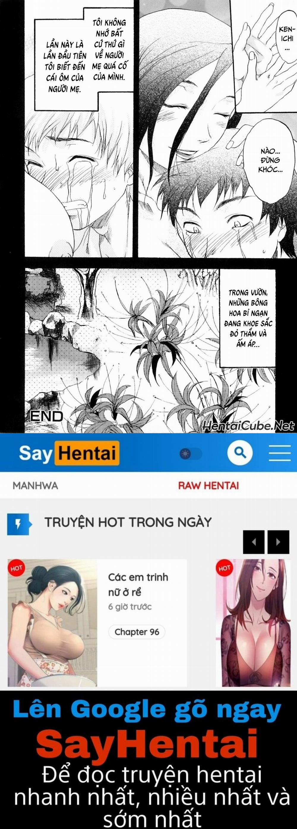 Khát khao mẹ và con trai 7 - Hoa bỉ ngạn trang 15