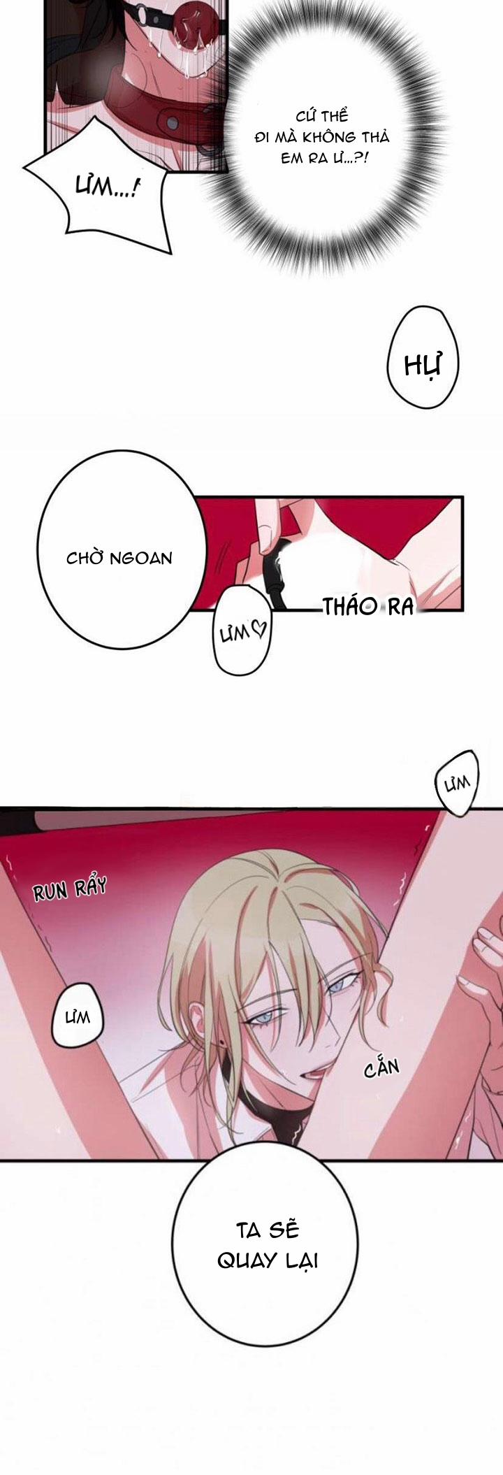 Khẩu Vị Và Sự Tôn Thờ Của Người Yêu Tôi 13 trang 24