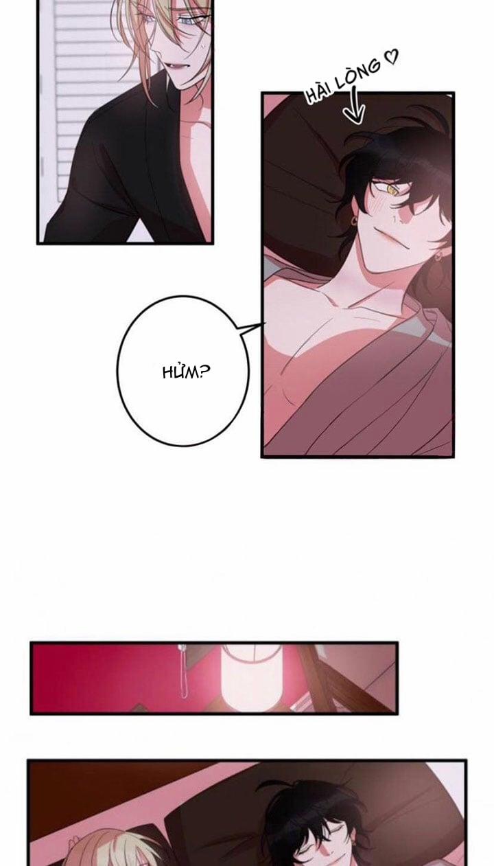 Khẩu Vị Và Sự Tôn Thờ Của Người Yêu Tôi 14 trang 15
