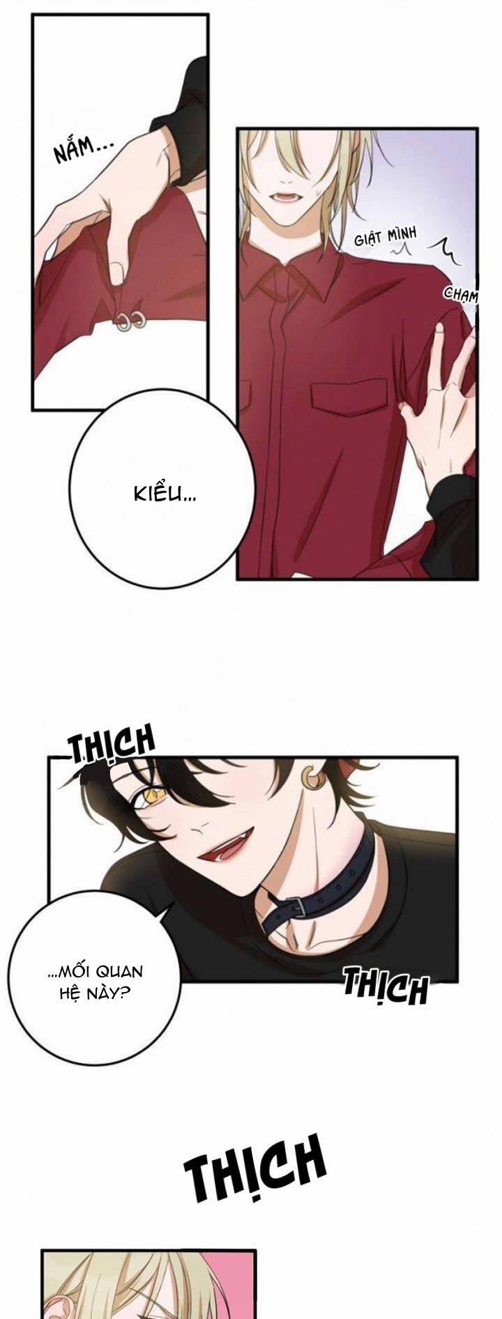 Khẩu Vị Và Sự Tôn Thờ Của Người Yêu Tôi 15 trang 17