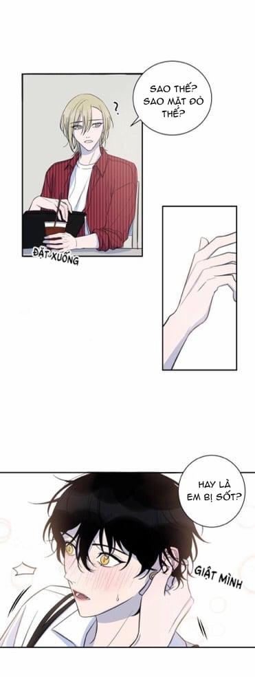 Khẩu Vị Và Sự Tôn Thờ Của Người Yêu Tôi 19 trang 8