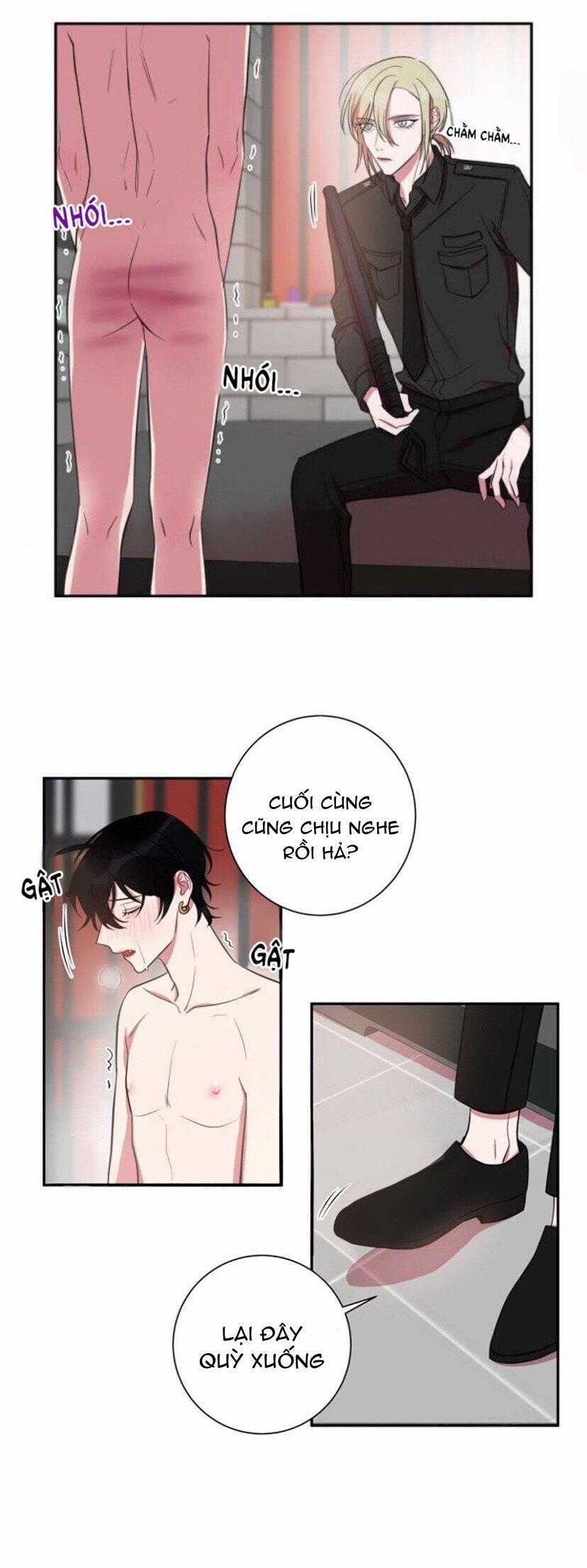 Khẩu Vị Và Sự Tôn Thờ Của Người Yêu Tôi 20 trang 11