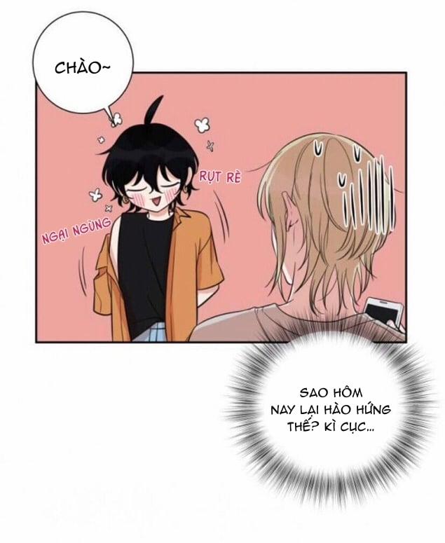 Khẩu Vị Và Sự Tôn Thờ Của Người Yêu Tôi 20 trang 3