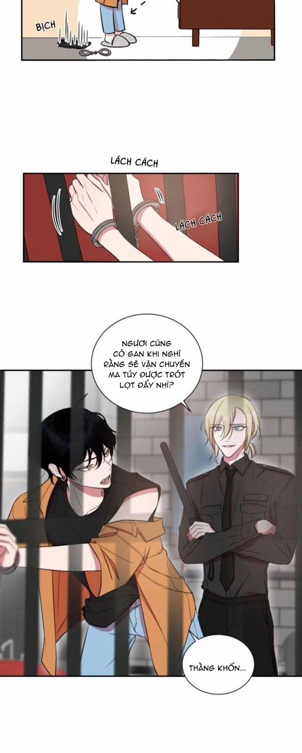 Khẩu Vị Và Sự Tôn Thờ Của Người Yêu Tôi 20 trang 5