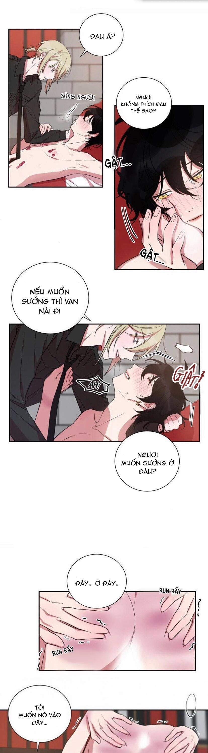 Khẩu Vị Và Sự Tôn Thờ Của Người Yêu Tôi 21 trang 6