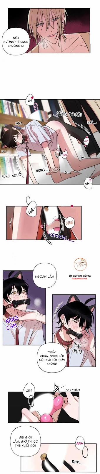 Khẩu Vị Và Sự Tôn Thờ Của Người Yêu Tôi 29 trang 10