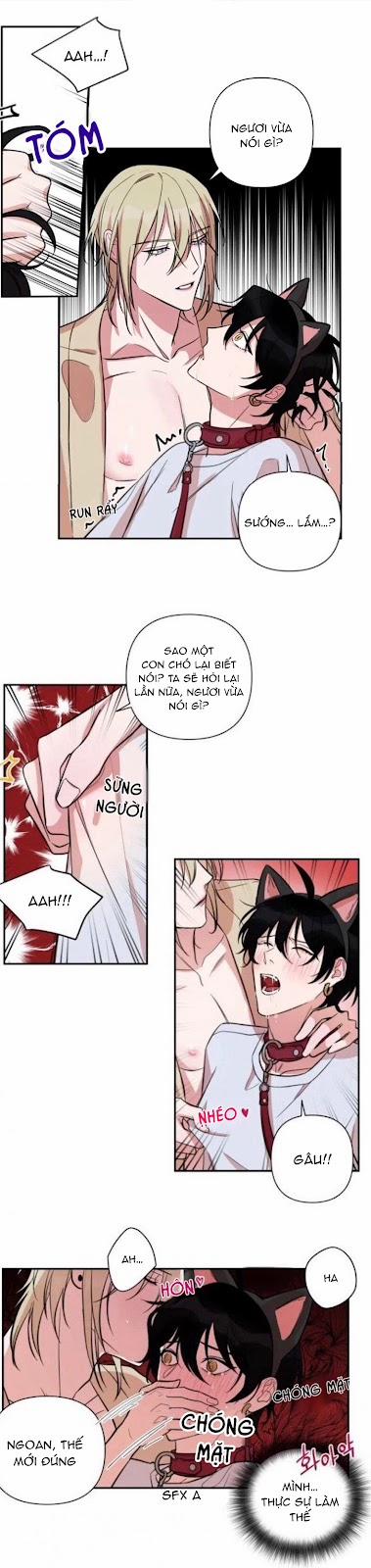 Khẩu Vị Và Sự Tôn Thờ Của Người Yêu Tôi 29 trang 12